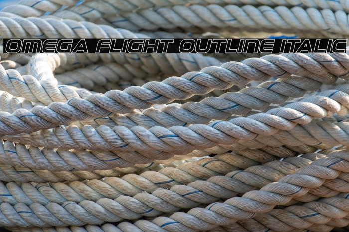 Omega Flight Outline Italic Example 3