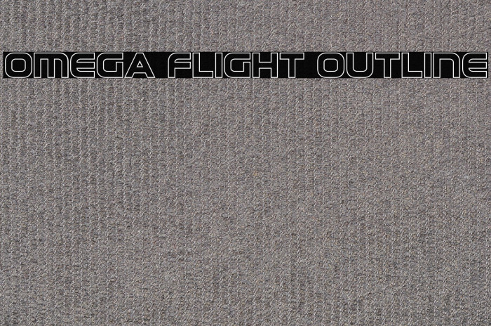 Omega Flight Outline Example 1