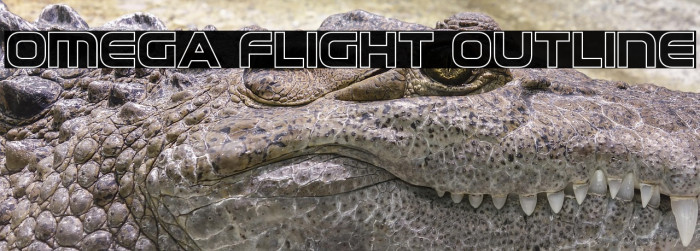 Omega Flight Outline Example 2