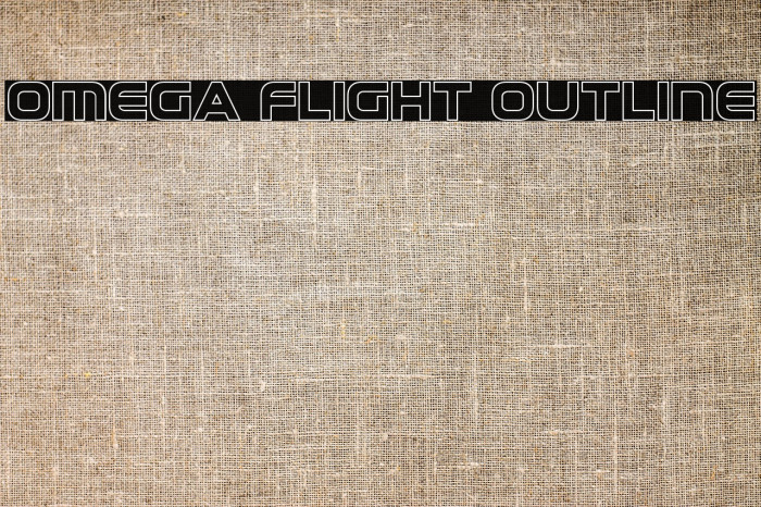 Omega Flight Outline Example 3