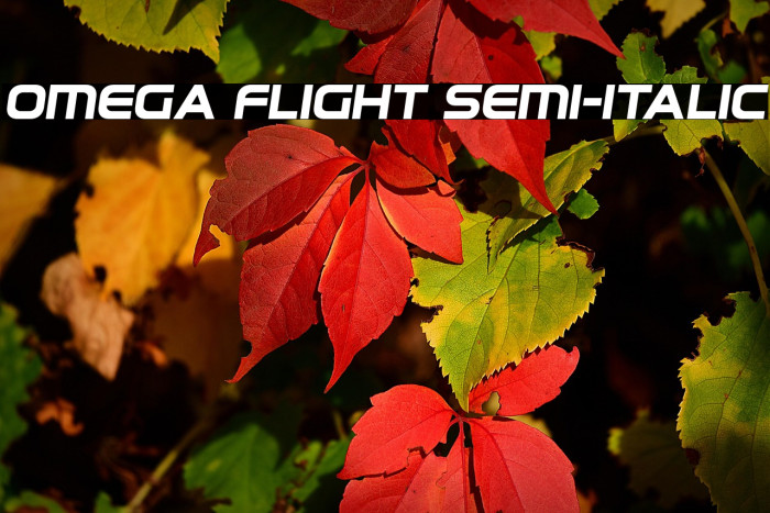 Omega Flight Semi-Italic Example 3