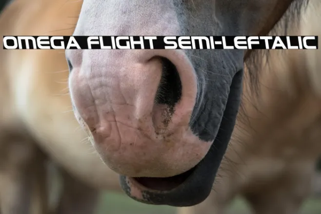 Omega Flight Semi-Leftalic Example 1