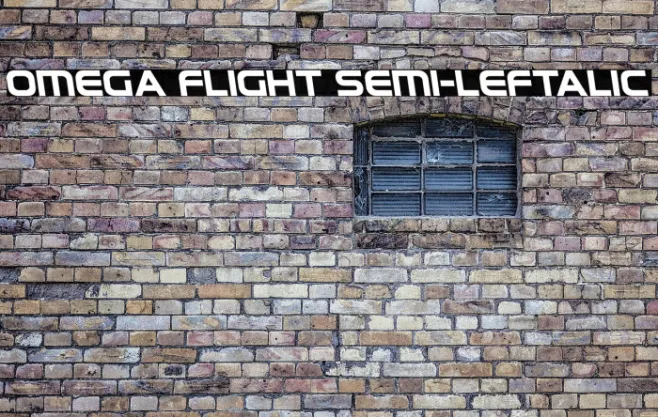 Omega Flight Semi-Leftalic Example 3