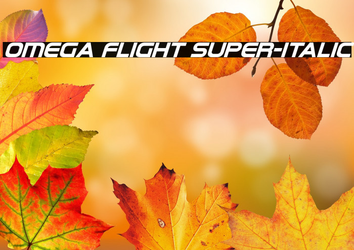 Omega Flight Super-Italic Example 2