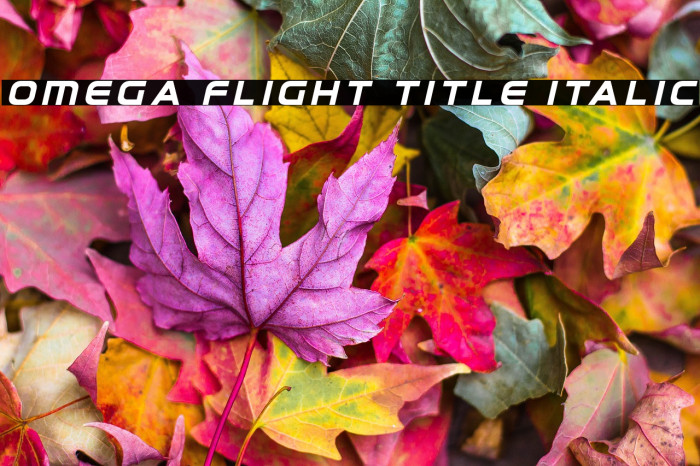Omega Flight Title Italic Example 2