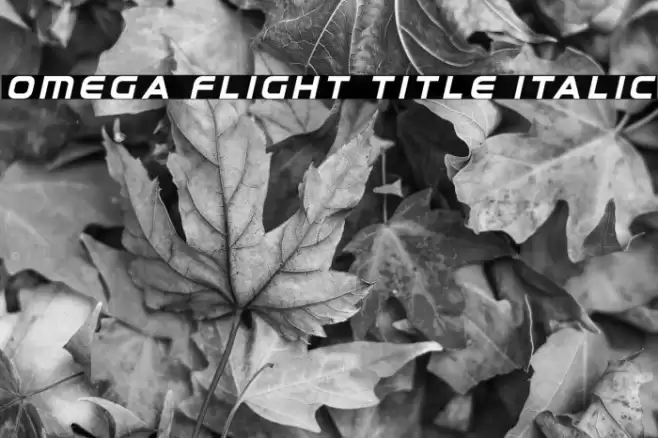 Omega Flight Title Italic Font examples
