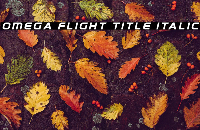 Omega Flight Title Italic Example 3
