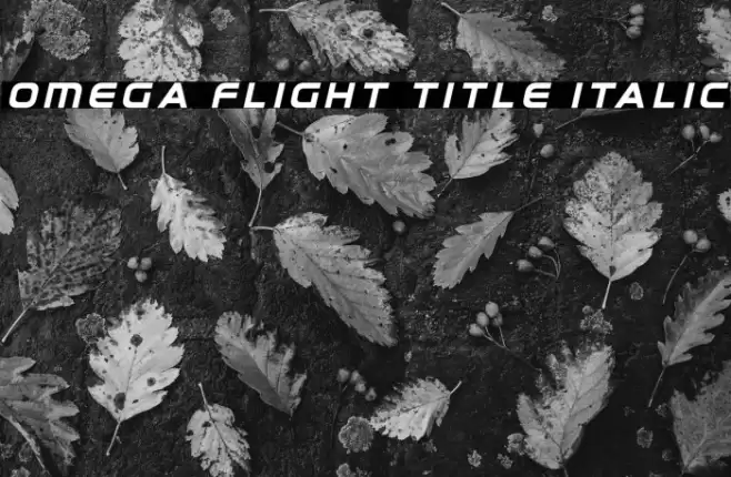 Omega Flight Title Italic Font examples