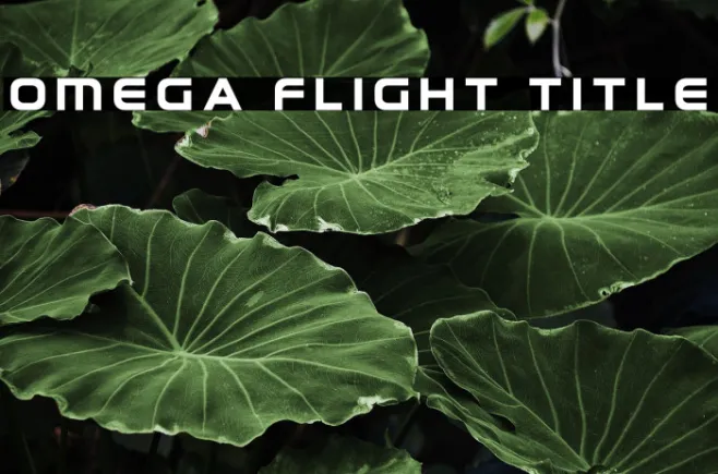 Omega Flight Title Example 2