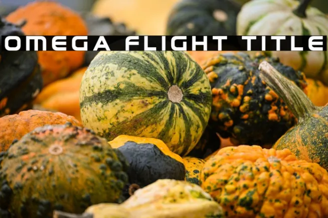Omega Flight Title Example 3
