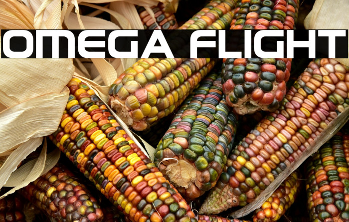 Omega Flight Example 2