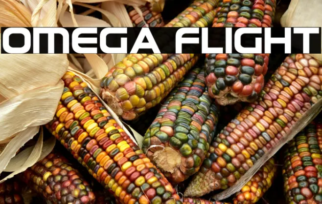 Omega Flight Example 2