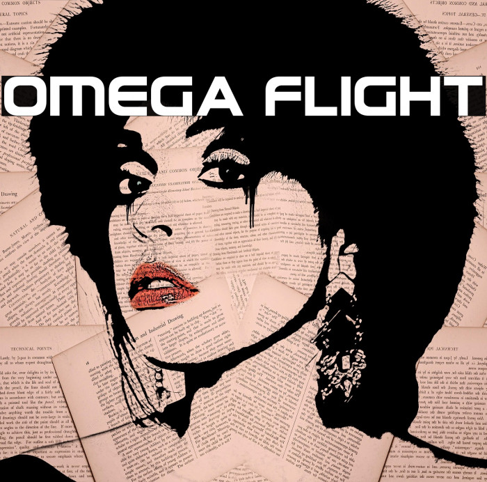 Omega Flight Example 3