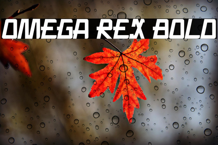 Omega Rex Bold Example 1