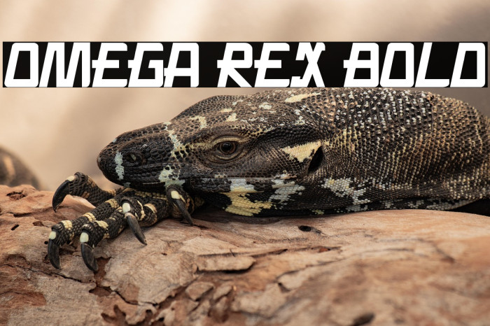Omega Rex Bold Example 3
