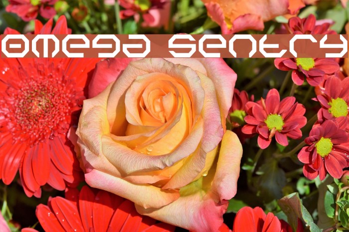 Omega Sentry Font examples