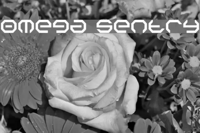 Omega Sentry 字体 examples