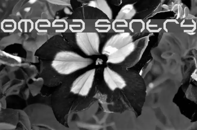 Omega Sentry 字体 examples