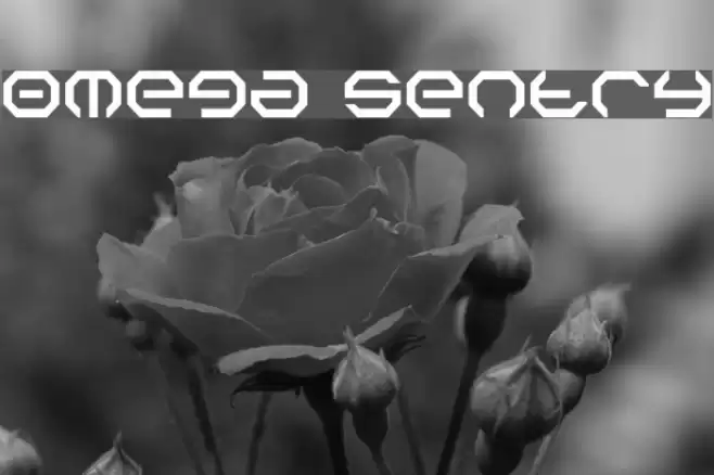 Omega Sentry 字体 examples