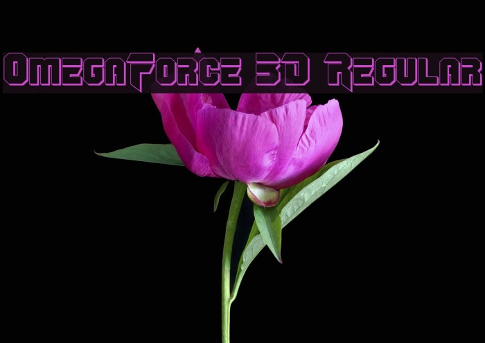 OmegaForce 3D Regular Font examples