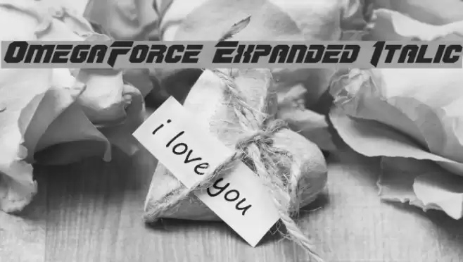 OmegaForce Expanded Italic Font examples