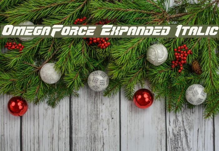 OmegaForce Expanded Italic Example 3