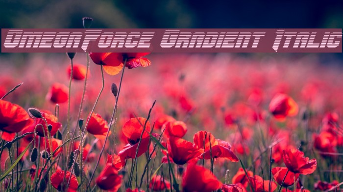 OmegaForce Gradient Italic Font examples