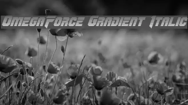 OmegaForce Gradient Italic Fonte examples