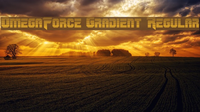 OmegaForce Gradient Regular Example 3