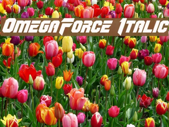 OmegaForce Italic Example 3