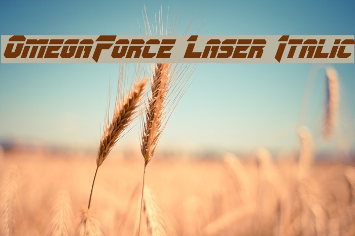 OmegaForce Laser Italic Font examples