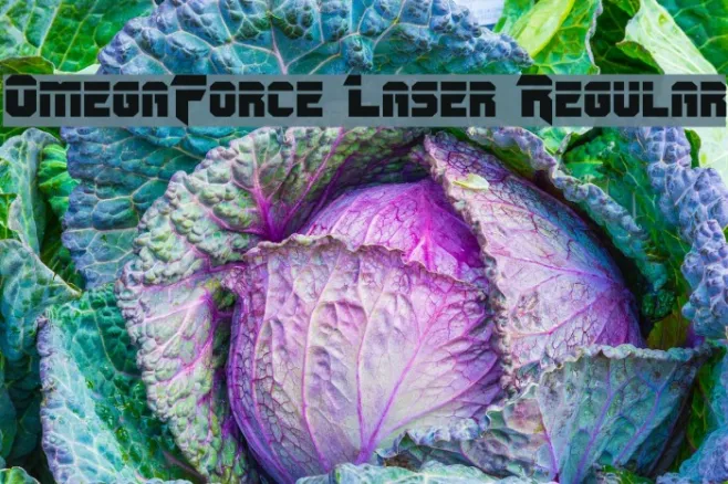 OmegaForce Laser Regular Example 1