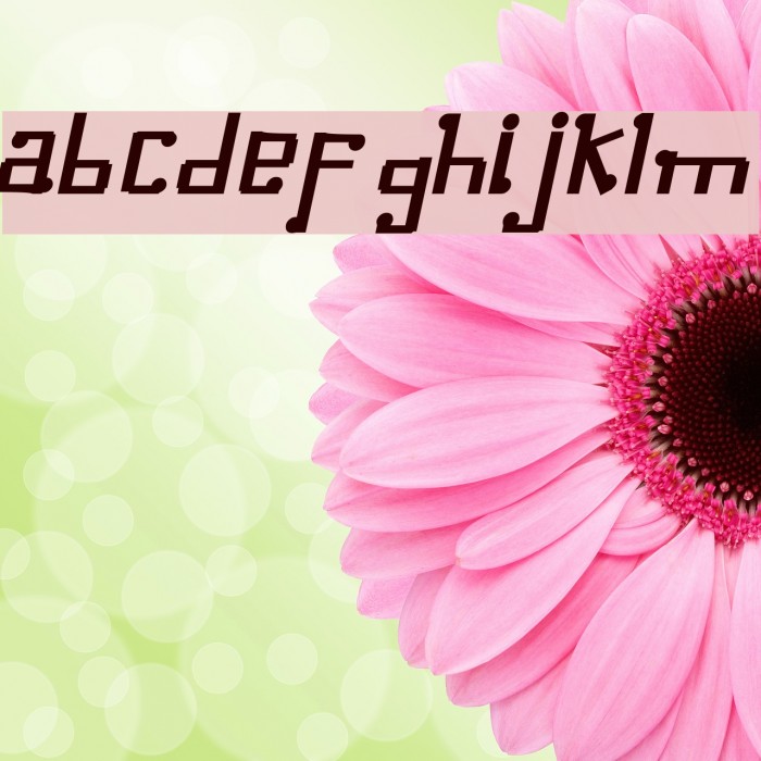 Omellons BoldItalic Font examples