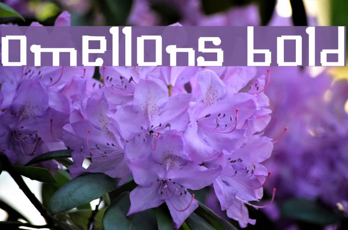 Omellons Bold Font examples