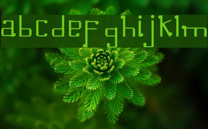 Omellons Light Font examples