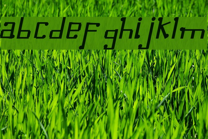 Omellons MediumItalic Font examples