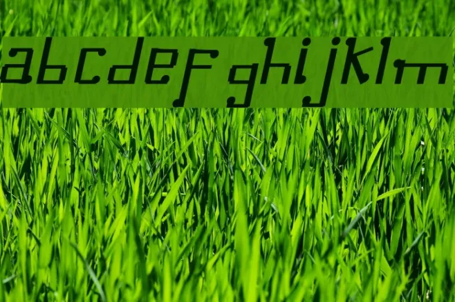 Omellons MediumItalic Example 1