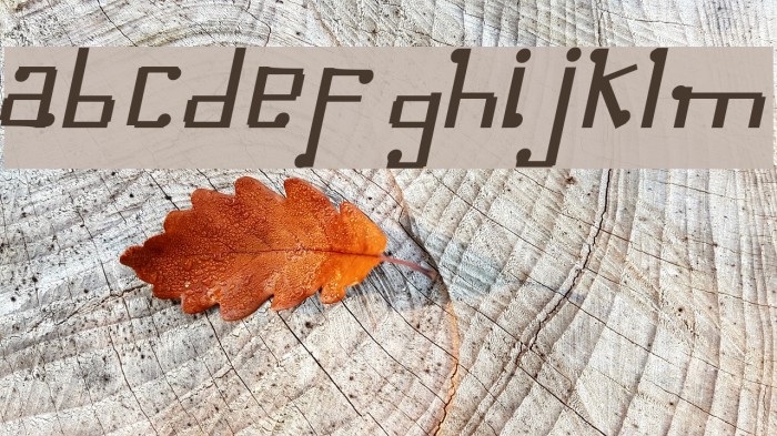 Omellons MediumItalic Font examples