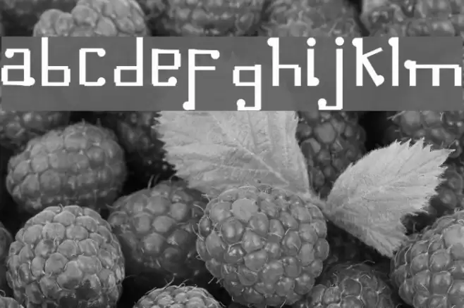 Omellons Medium Font examples