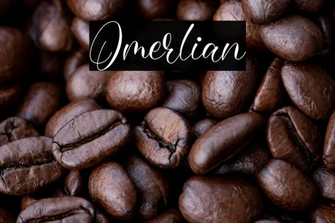 Omerlian Example 1