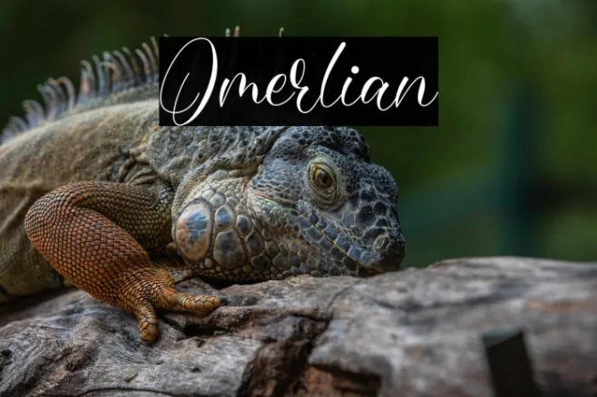 Omerlian Example 2