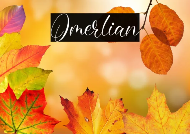 Omerlian Example 3