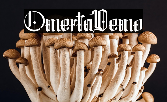 Omerta-Demo Example 1