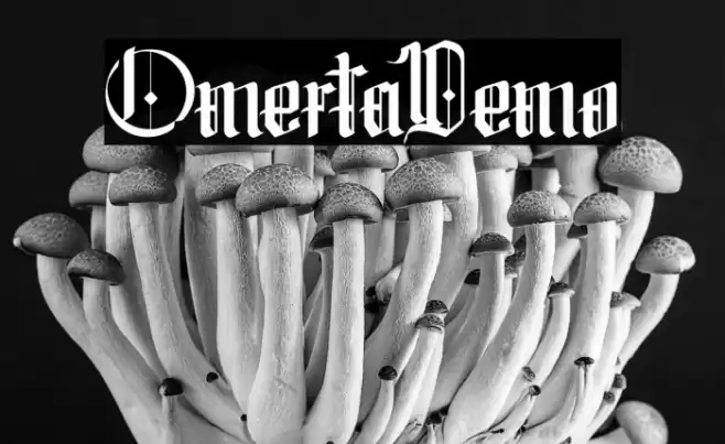 Omerta-Demo Fuentes examples