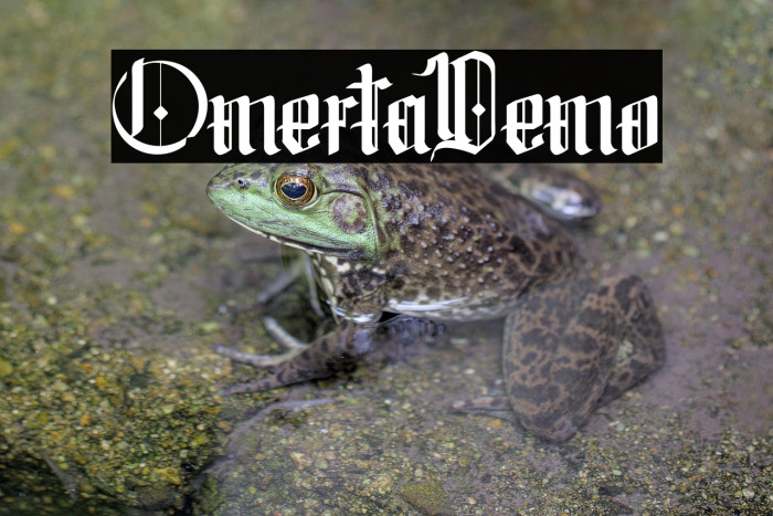 Omerta-Demo Example 3