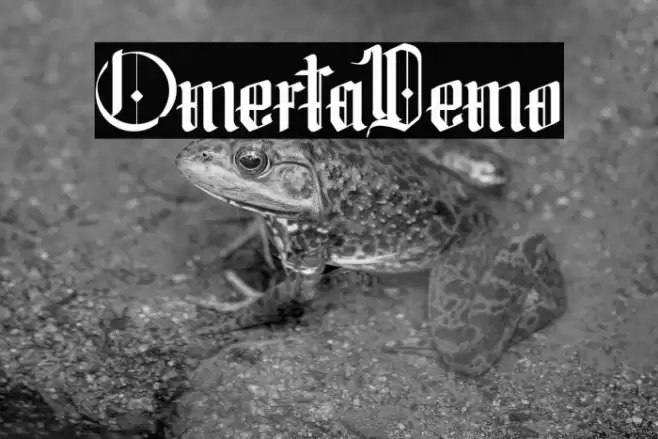 Omerta-Demo Fuentes examples