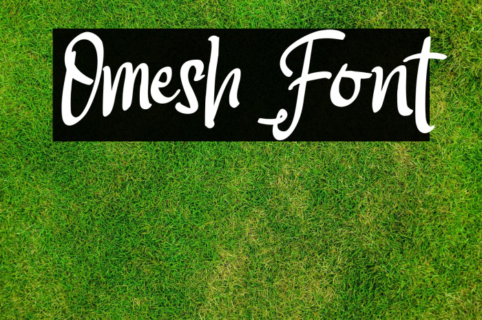 Omesh Example 3