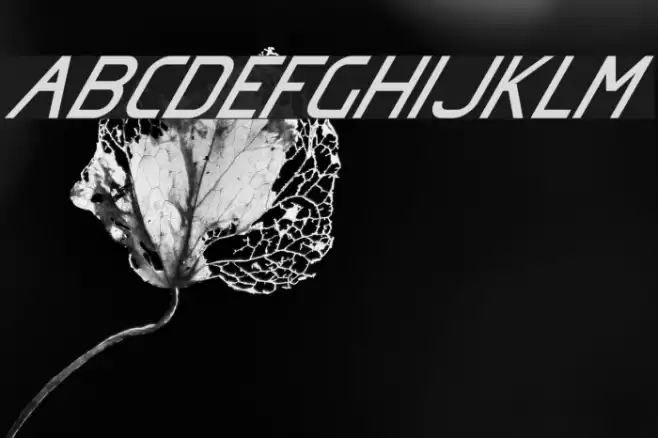 Omicron Zeta Slant Font examples