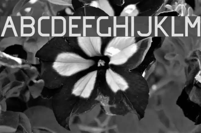 Omicron Zeta Font examples