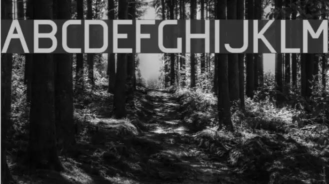 Omicron Zeta Font examples